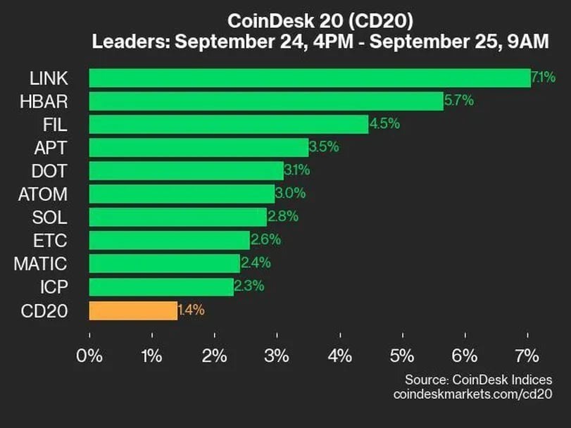 20銘柄中、19銘柄が上昇：CoinDesk 20 パフォーマンスアップデート