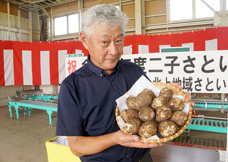 猛暑の中、順調に生育した今年産の二子さといもをPRする鈴木部長