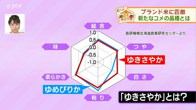 STVニュース北海道