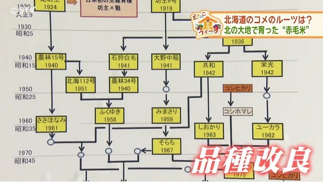 STVニュース北海道