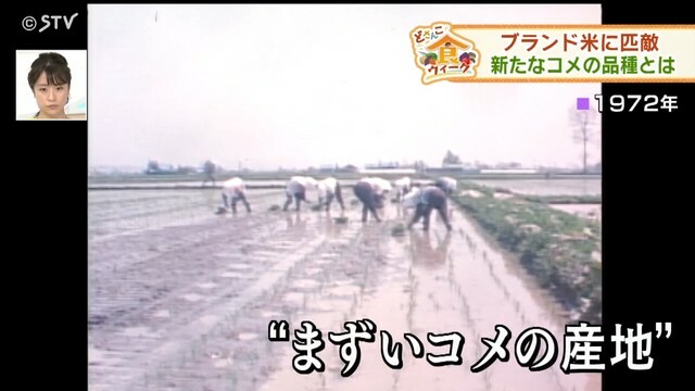 STVニュース北海道