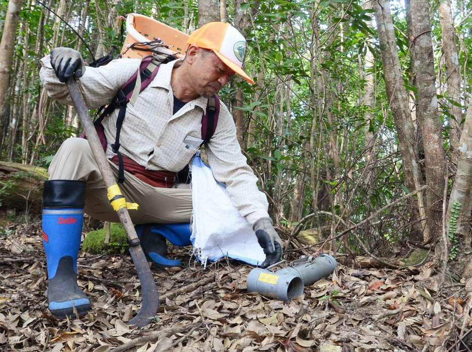 山中に設置された筒わな＝８月、大和村（中野あずさ撮影）