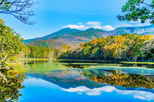 北海道 知床半島の知床五湖