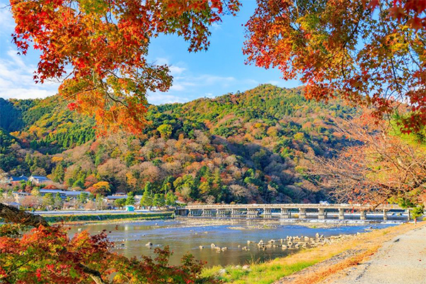 嵐山エリアの渡月橋