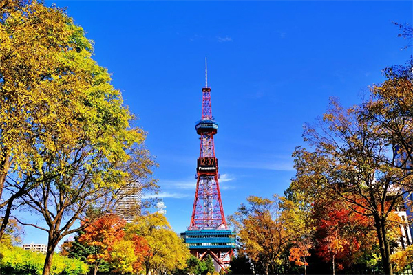 大通公園からさっぽろテレビ塔を望む