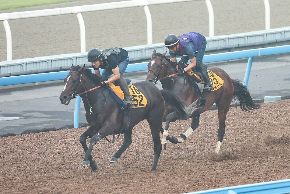 重賞勝ちのある舞台で連勝を狙うレーベンスティール（右）