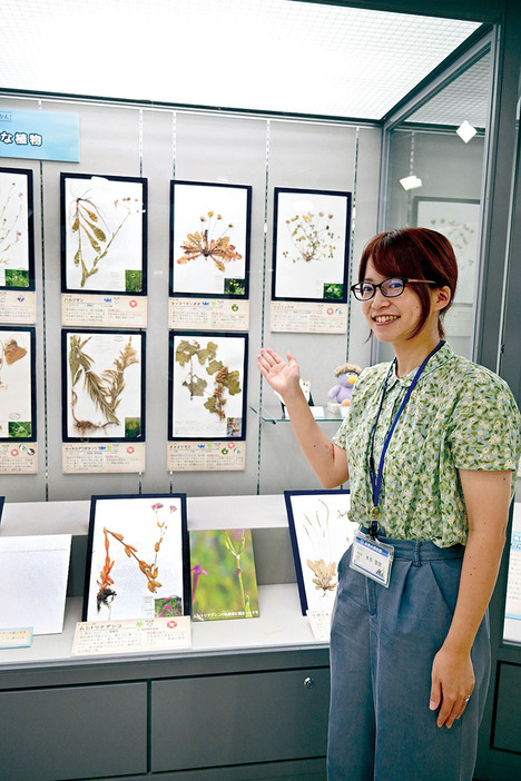 「企画展に来て、外来生物の正しい知識を知ってほしい」と話す学芸員の本多里奈さん