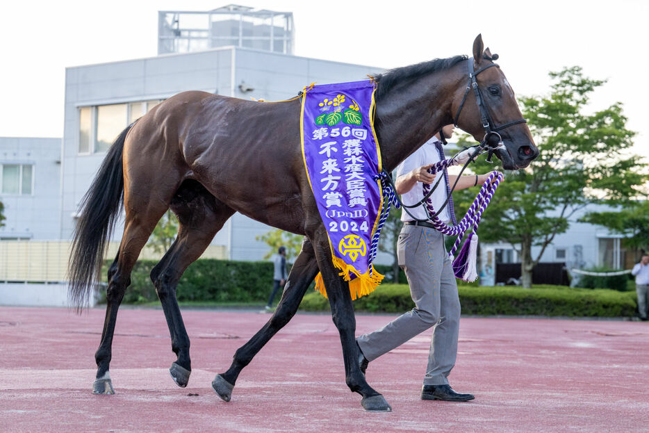 不来方賞を勝利したサンライズジパング (C)Yushi Machida