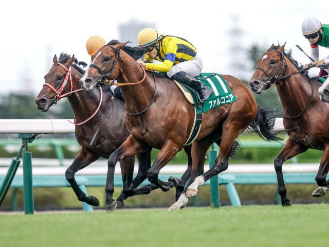 22年の京成杯AHを制したファルコニア(撮影：下野雄規)