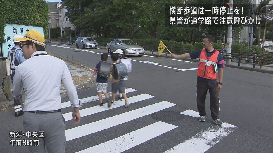 信号のない横断歩道では"一時停止"を