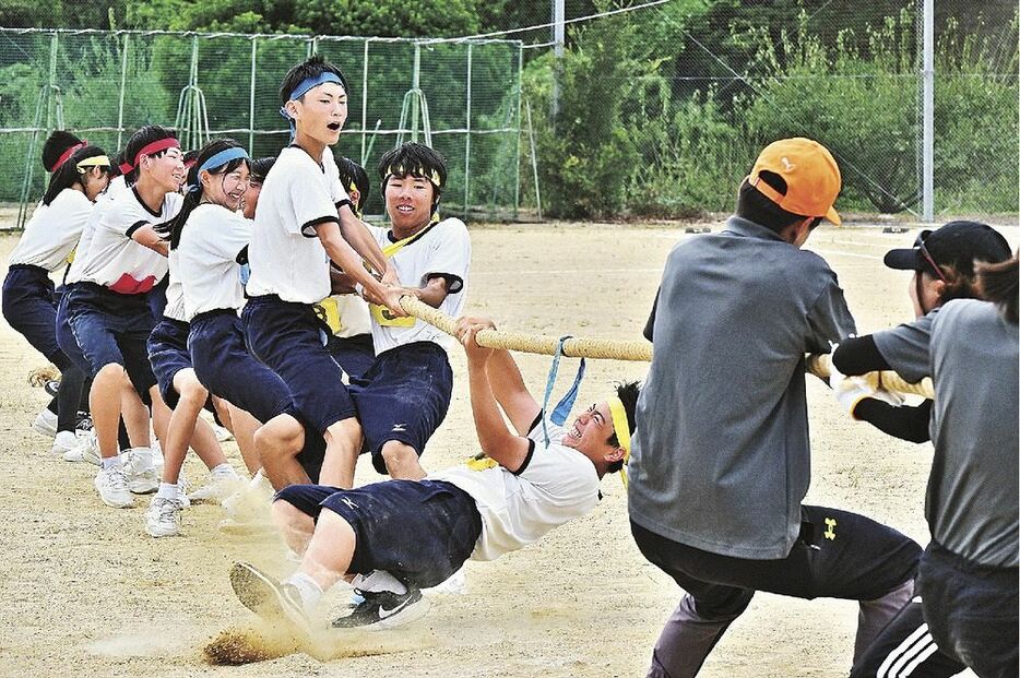 エキシビションマッチとして綱引きで教員チームと対戦する３年生（１５日、和歌山県田辺市上芳養で）