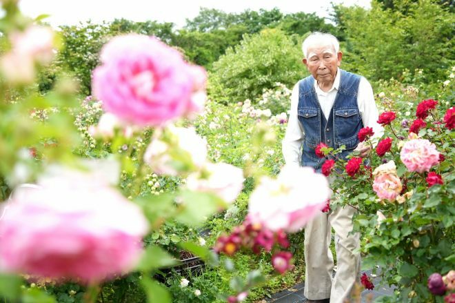 自宅前のバラの「ほ場」に立つ吉池貞蔵さん