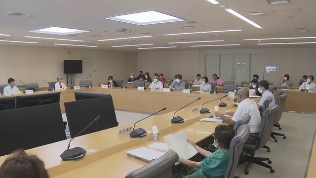 ９日東京都青少年健全育成審議会