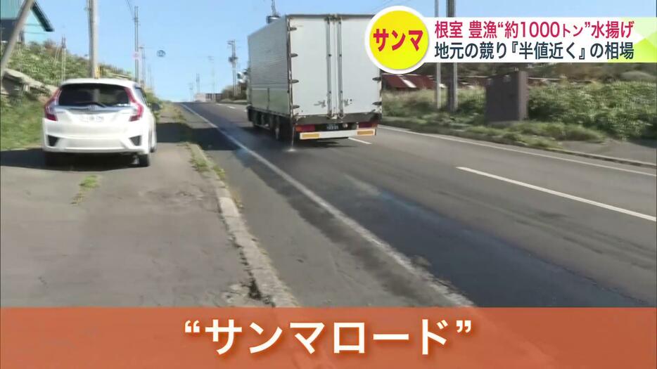 トラックから漏れた海水で道路が光る「サンマロード」