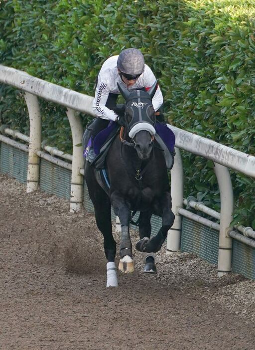 坂路でシャープに伸びたナムラクレア＝栗東トレセン（撮影・岩川晋也）