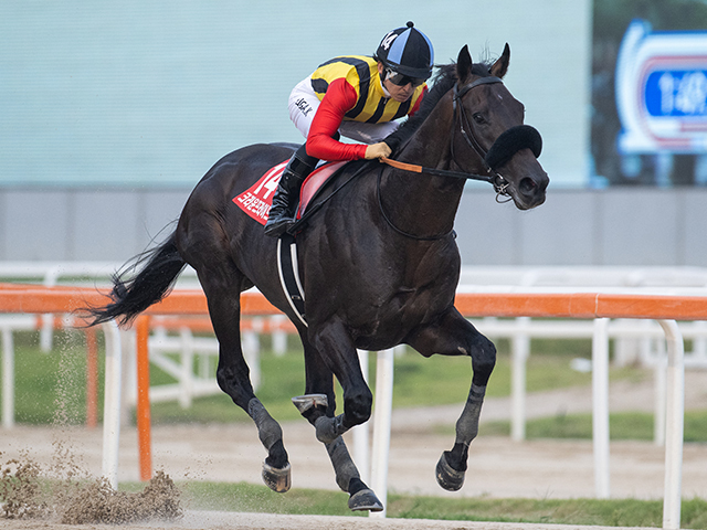 クラウンプライド(写真は昨年優勝時、撮影：岡田友貴)