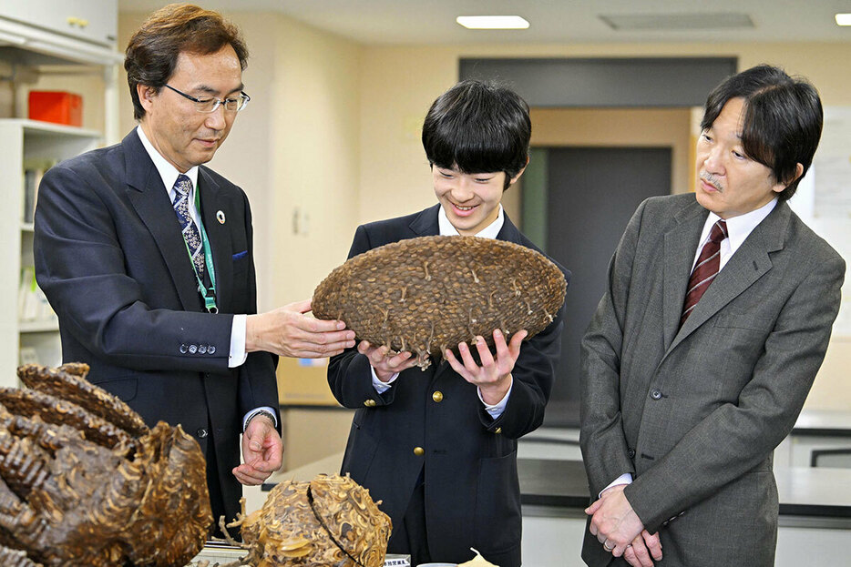 玉川大学農学部の昆虫研究施設を視察される秋篠宮さまと悠仁さま（写真・共同通信）