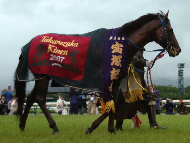 自身も種牡馬として大成したエンドスウィープ産駒のアドマイヤムーン(写真は07年宝塚記念・(c)netkeiba)