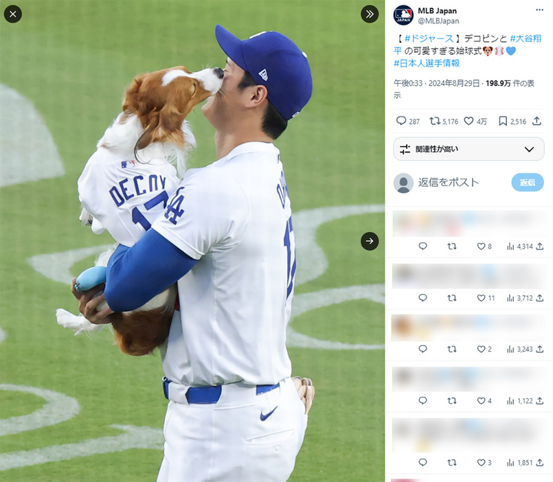 8月28日、オリオールズ戦の試合前セレモニーに登場した大谷翔平の愛犬・デコピン（MLB Japan公式Xより）