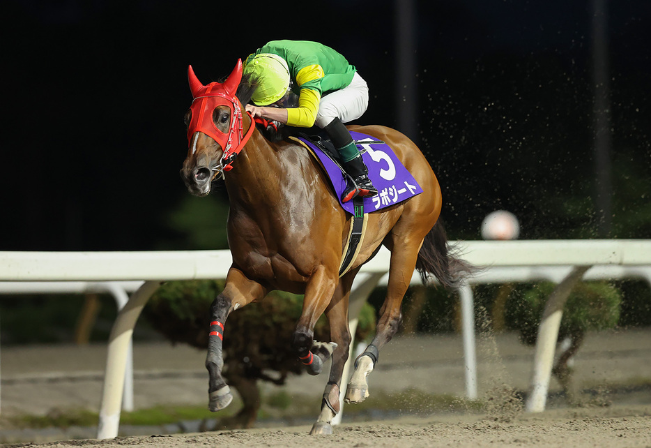 ビギナーズカップ・ラポジートと岩本怜騎手 (C)岩手県競馬組合