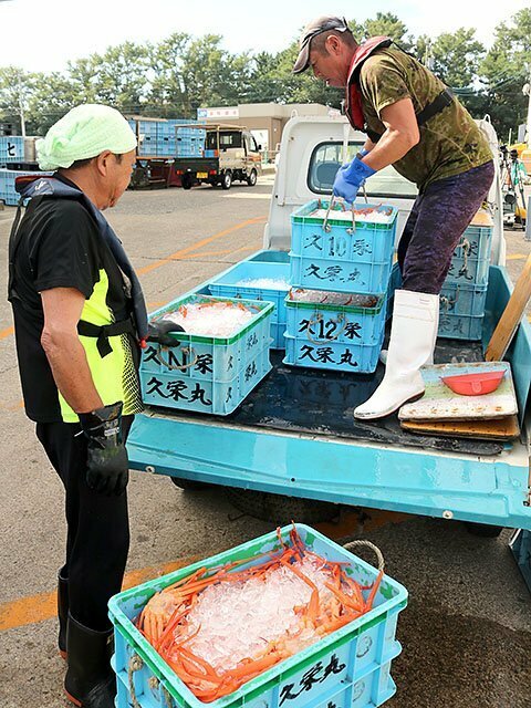 氷で冷やしたベニズワイガニをトラックの荷台に積む漁師