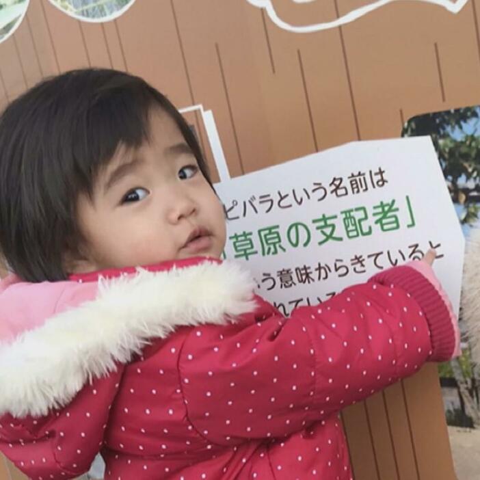 亡くなった小野優陽ちゃん（死亡当時2歳11か月）