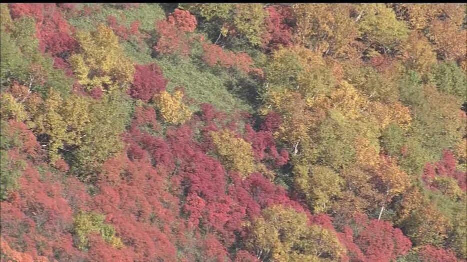 登山客でにぎわう大雪山系では紅葉が見ごろ