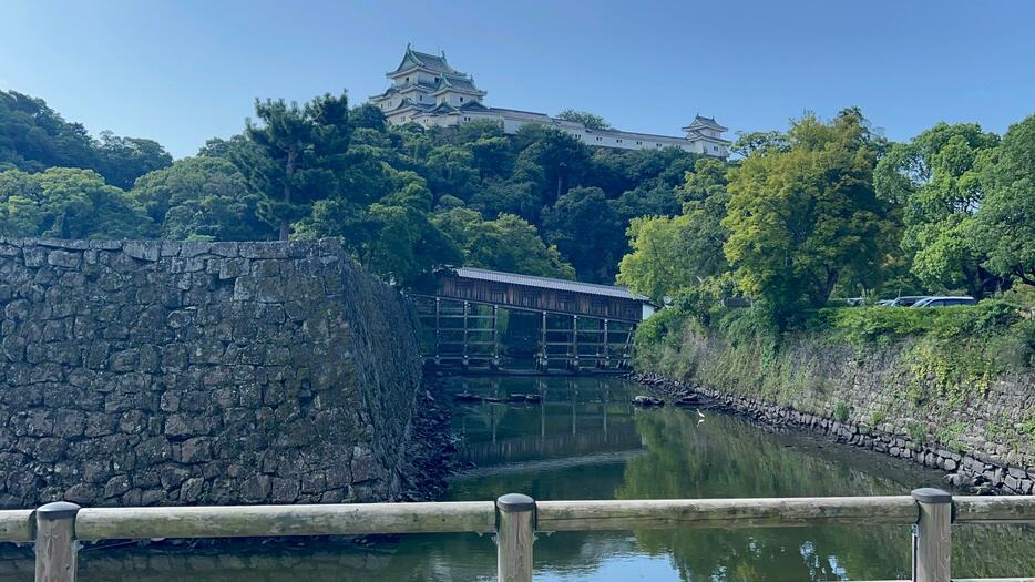 水を抜かれた和歌山城のお堀