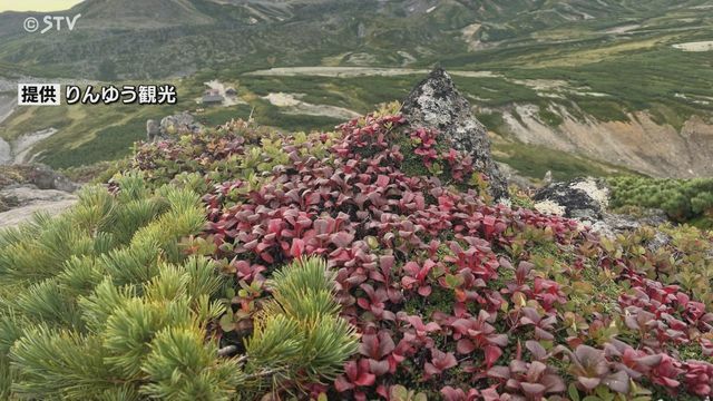 STVニュース北海道