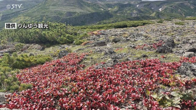 STVニュース北海道