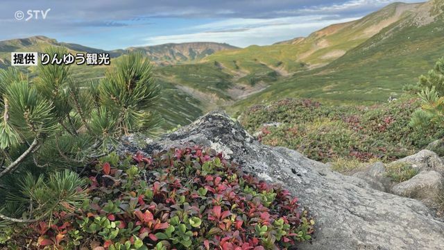 STVニュース北海道