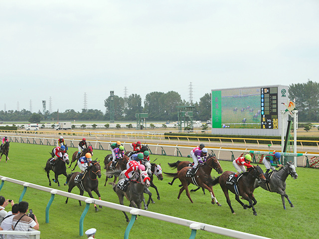 新潟記念が行われた新潟競馬場(c)netkeiba