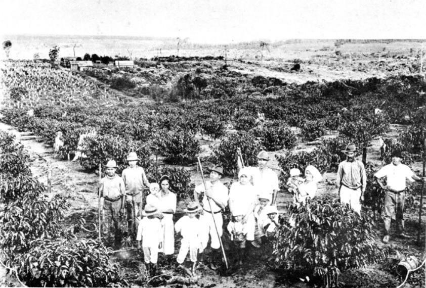 ブラジルのコーヒー農園の労働者ら（『在伯同活胞動実況大写真帳』1938年、高知県の竹下写真館）