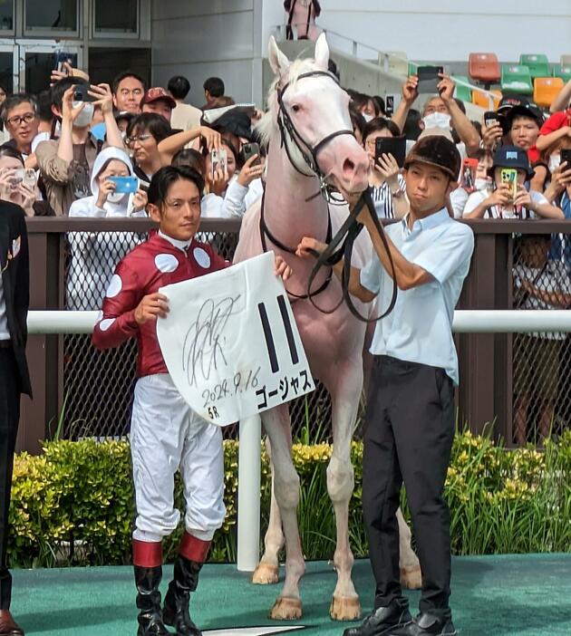 　初陣Ｖを決めた白毛馬ゴージャス