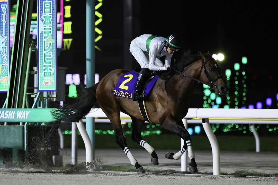 日本テレビ盃・ウィリアムバローズと坂井瑠星騎手 (C)Hiroki Homma