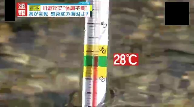 約28℃と高めの水温