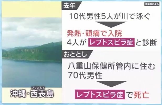 『レプストピラ症』で死亡した人も