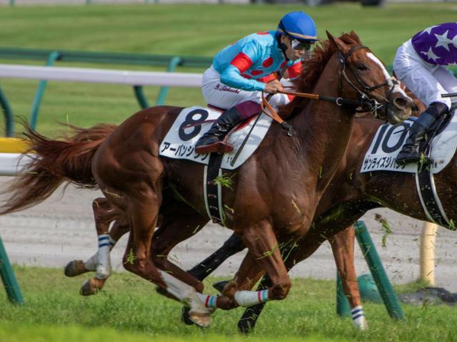 重賞初制覇を目指すアーバンシック(今年5月撮影、ユーザー提供：お外さん)