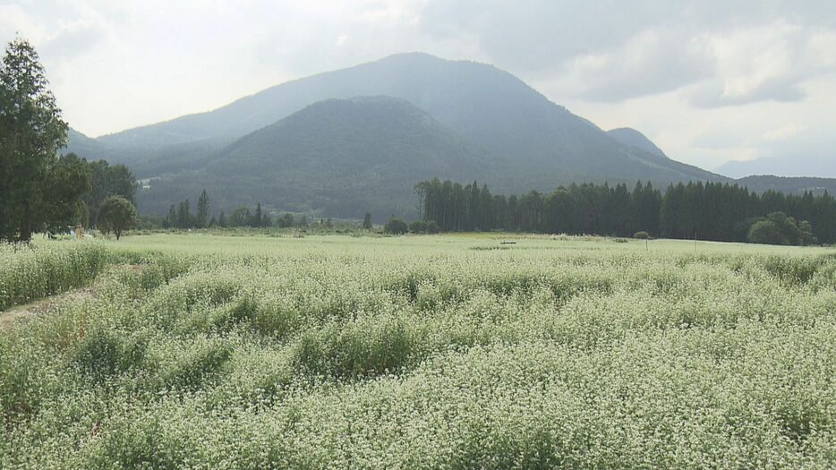 そばの里として知られる山ノ内町須賀川地区