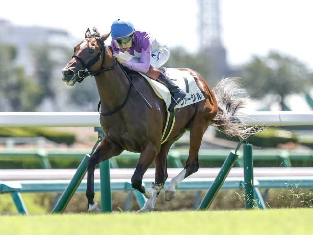 1番人気ヴァージルが勝利(撮影：下野雄規)