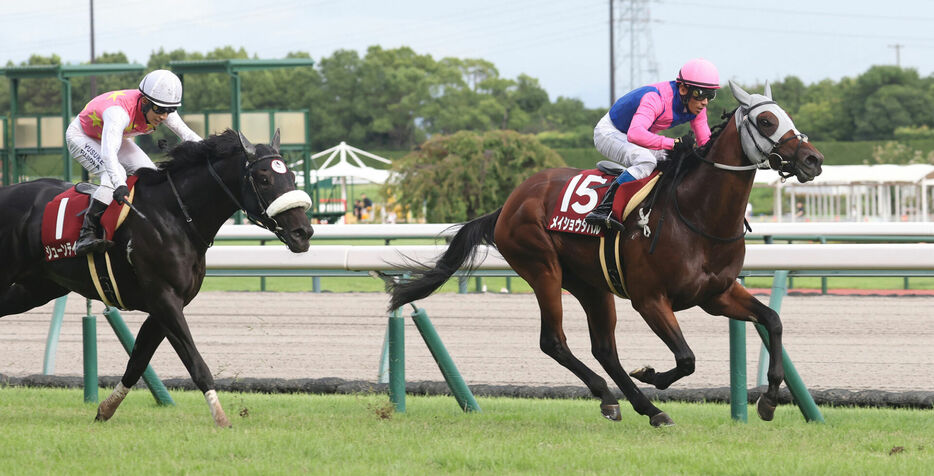 神戸新聞杯・メイショウタバルと浜中俊騎手 (C)スポニチ