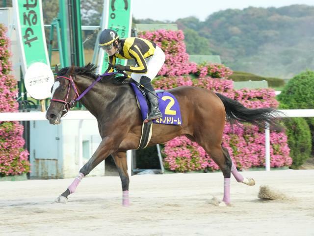 2番人気ミトノドリームが勝利(提供：佐賀県競馬組合)