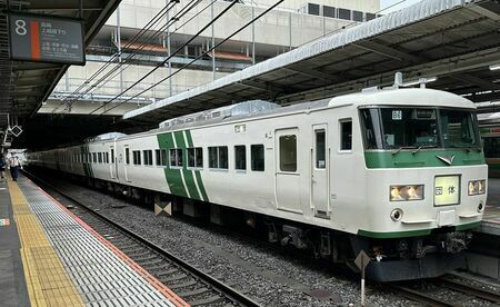 大宮駅に停車中の185系。これから都心近郊のさまざまな貨物線と路線を走行していく（筆者撮影）