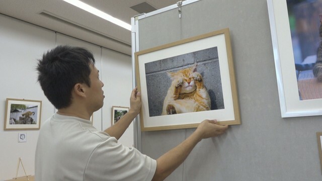 「ありがとうを伝えたくて・地域猫写真展」　百花プラザ　岡山・東区