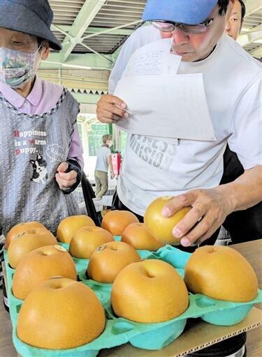 目ぞろえ会で、この日出荷された豊水を確認する生産者=9月5日、福井県あわら市のJA福井県あわらフルーツセンター