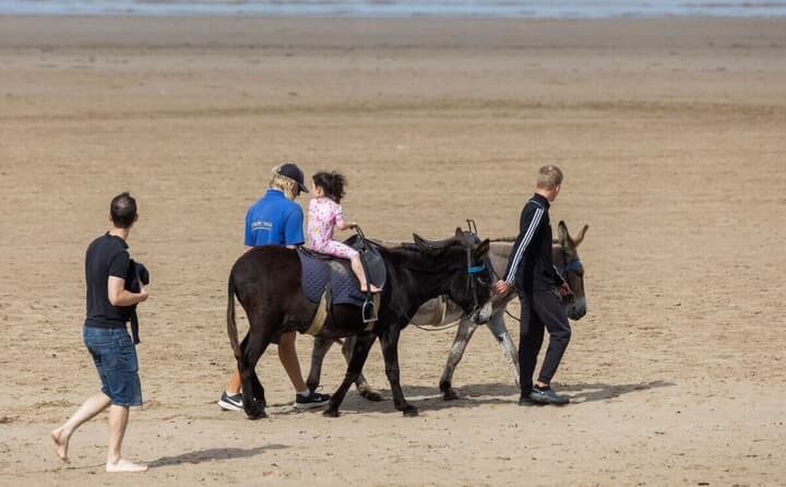 イギリスでは海辺で子供がロバ乗馬体験をするのがおなじみの光景　TOM WREN/SWNS VIA REUTERS CONNECT