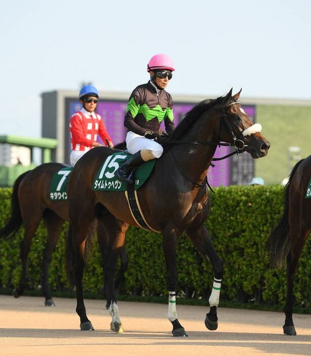 京成杯AHで2着に敗れたタイムトゥヘヴン＝8日、中山競馬場（撮影・奈良武）