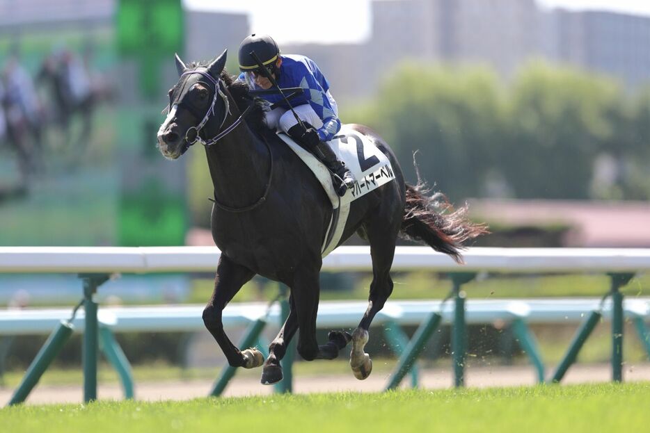 札幌2R・マハートマーベルと高杉吏麒騎手