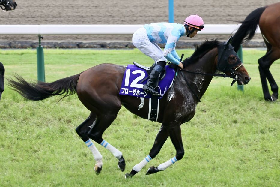 宝塚記念・ブローザホーンと菅原明良騎手