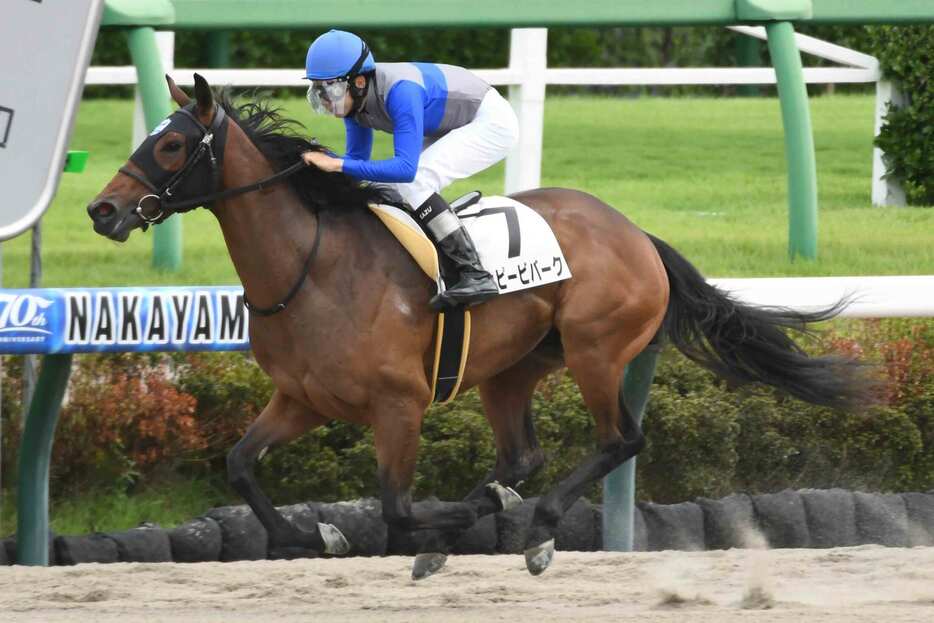 ３馬身差をつけて快勝のハッピービバーク